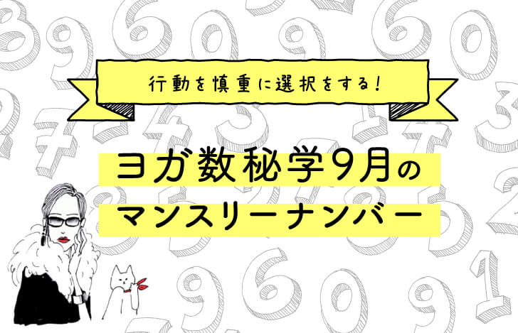 マダムYUKOと猫と数字