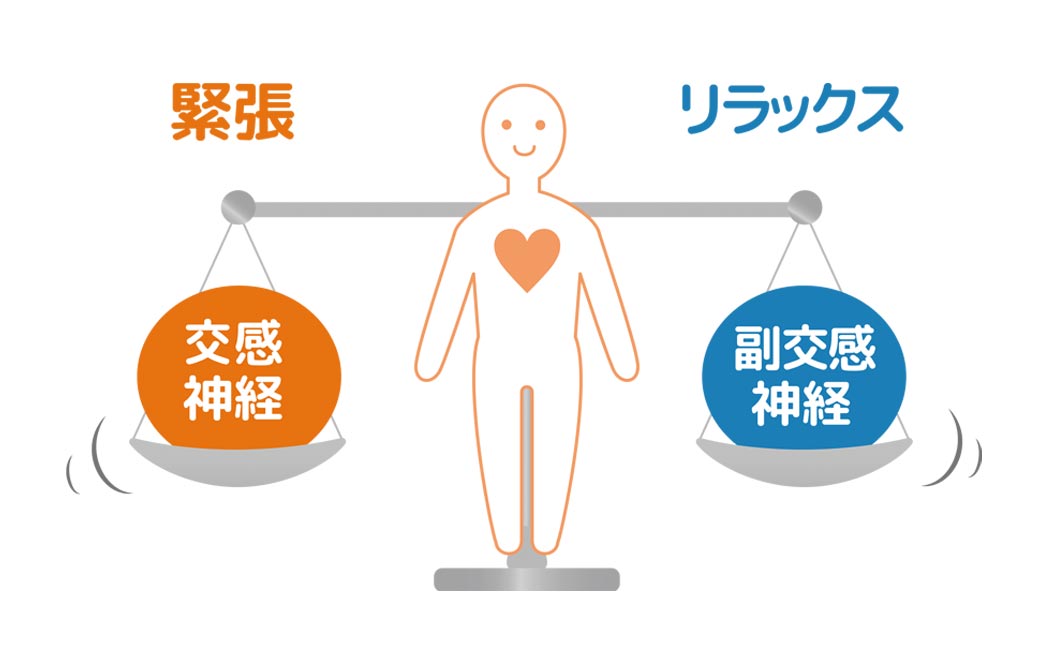 自律神経はバランスが大切!