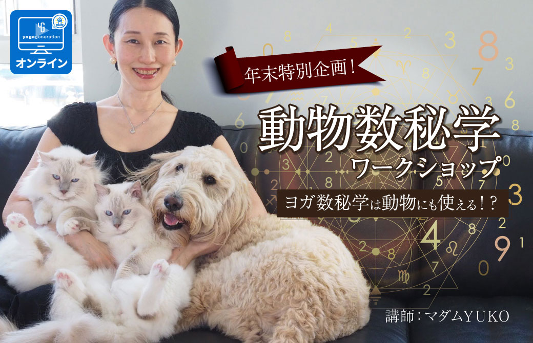 動物数秘学
