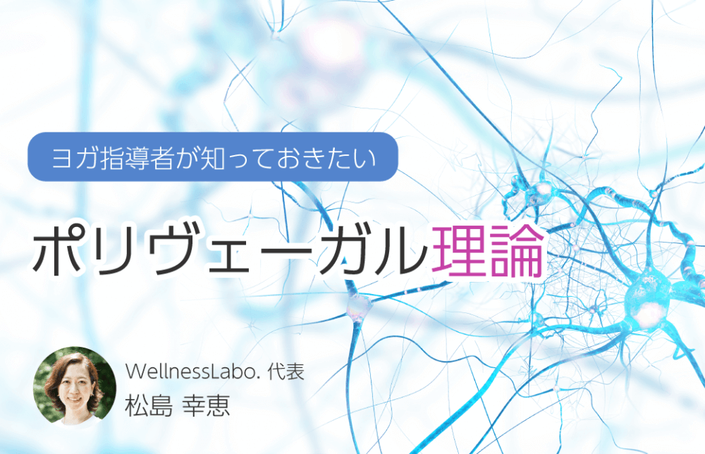 ヨガ指導者が知っておきたい！ポリヴェーガル理論とは？