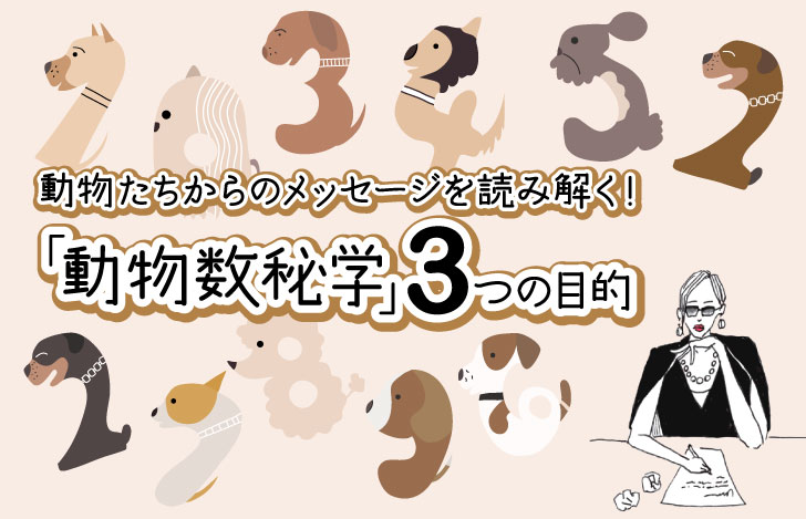 マダムYUKOと動物と数字