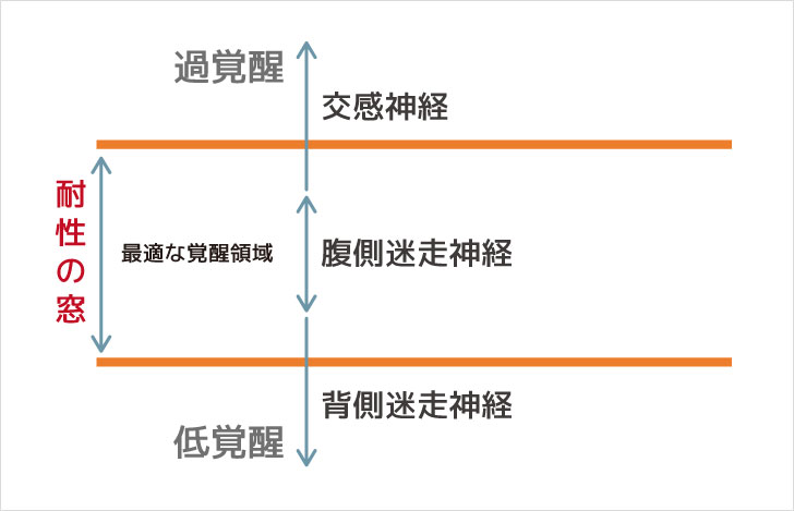 自律神経系を3段階に分類した図