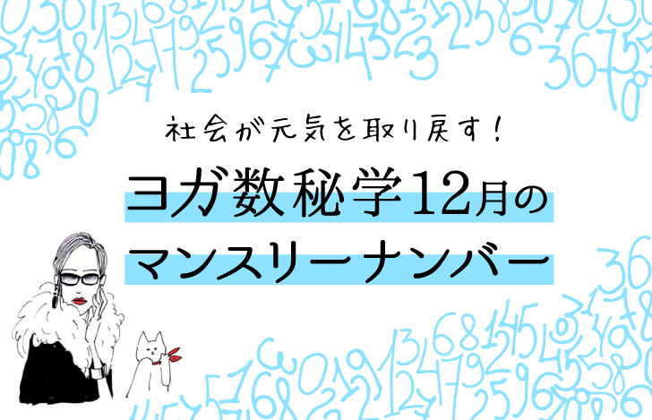 マダムYUKOと猫と数字