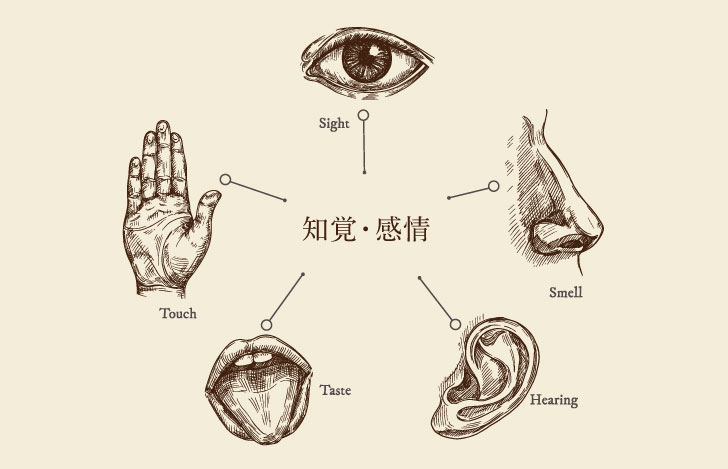 五感を表す体のパーツのイラスト