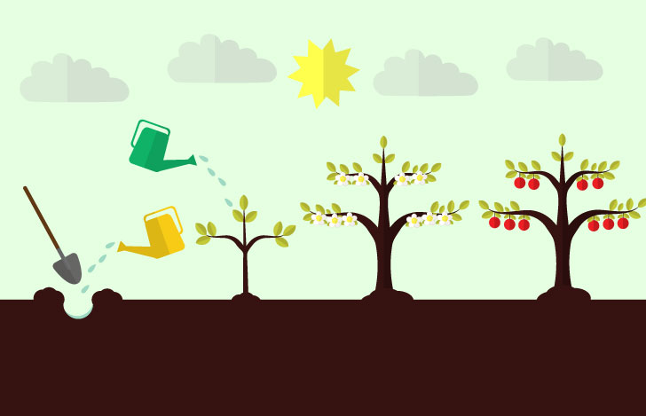 地に種を蒔き芽が出て那覇が先実がなることを表すイラスト