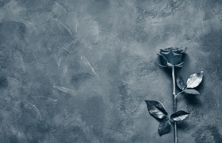 灰色の地面にひっそりと置かれた灰色の薔薇