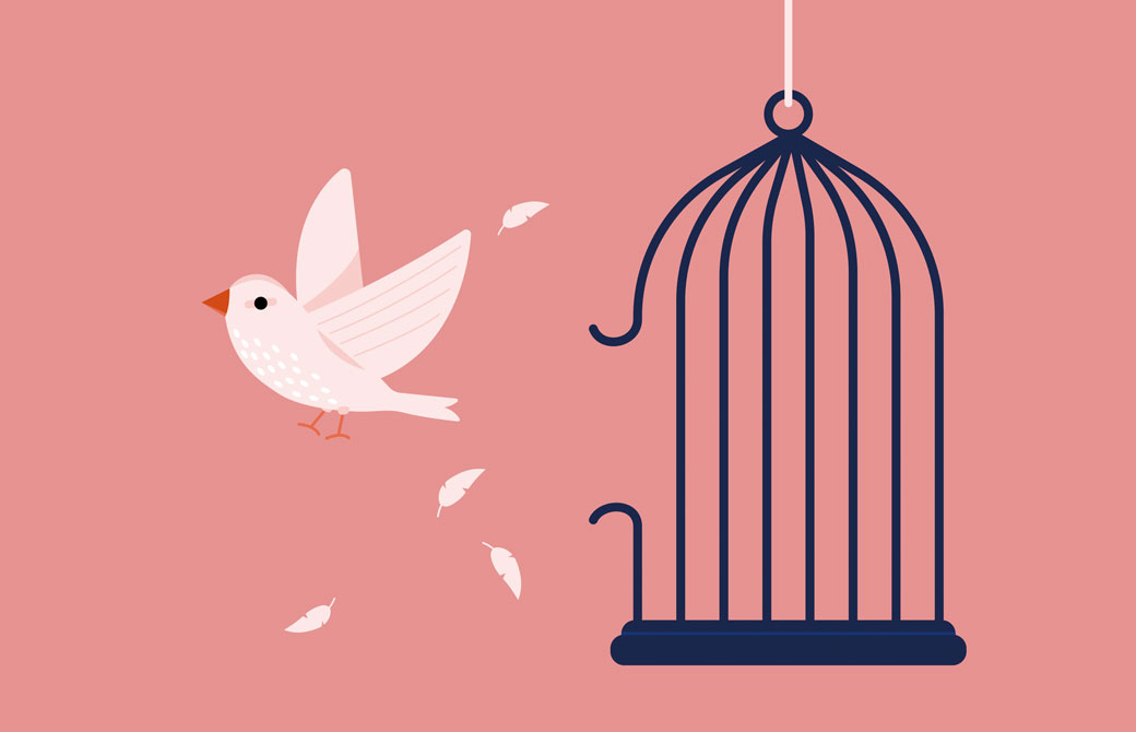 鳥が籠から飛び立つ