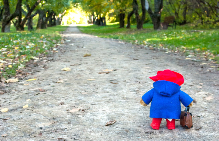 道端に立つくまのパディントンのぬいぐるみ