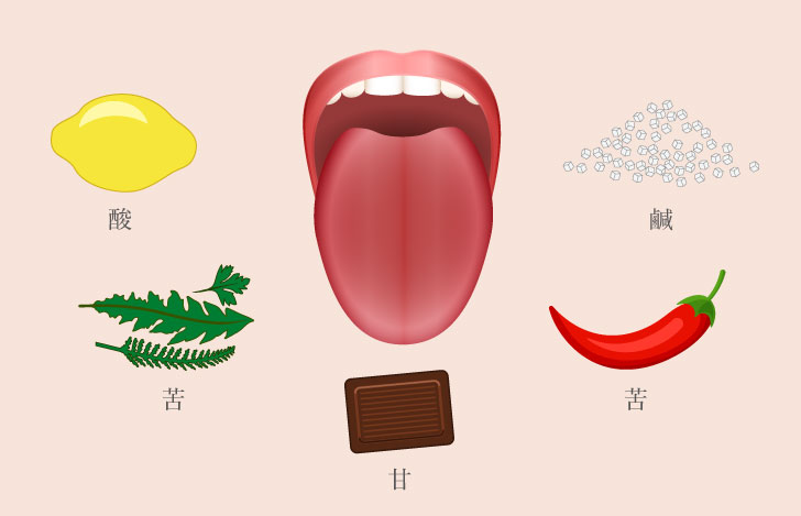 5つの味覚を代表する食品と舌を出した口元