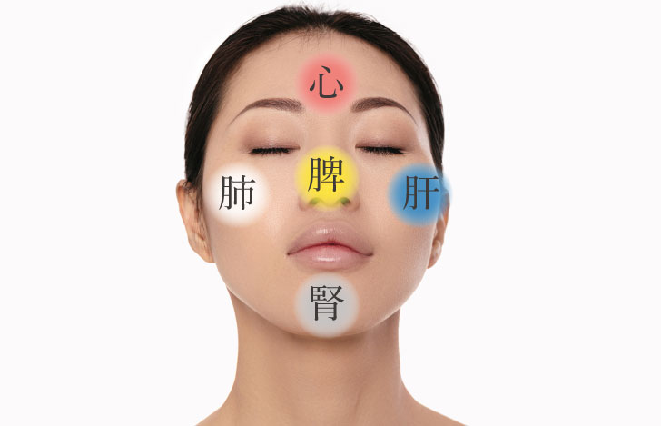 五臓と顔の関係