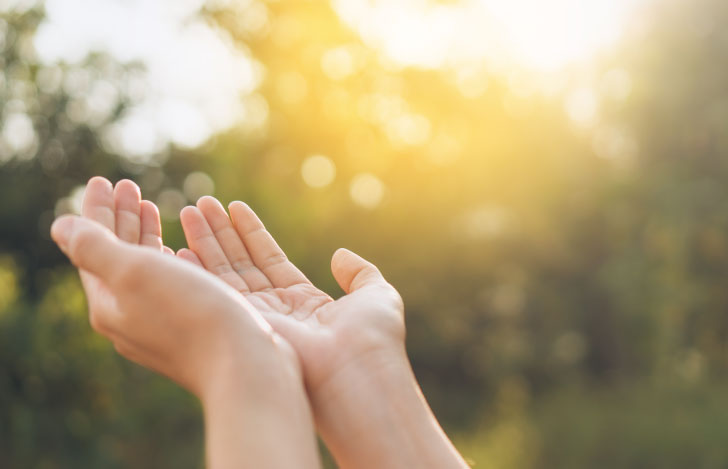 自然の中で両手を広げる人の手元
