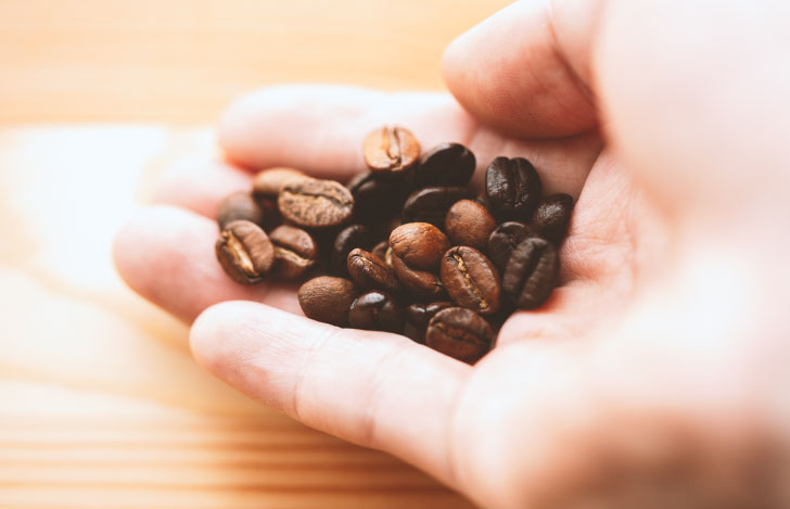 手のひらにのせられたコーヒー豆