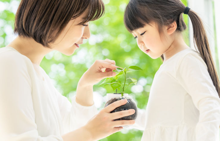小さな植物の芽を観察する母親と娘