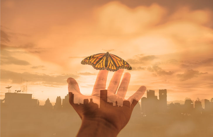 夕焼け街に向かって蝶を手から飛び立たせる人の手元