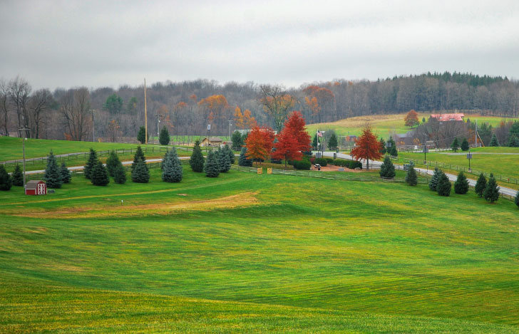 ウッドストックの風景