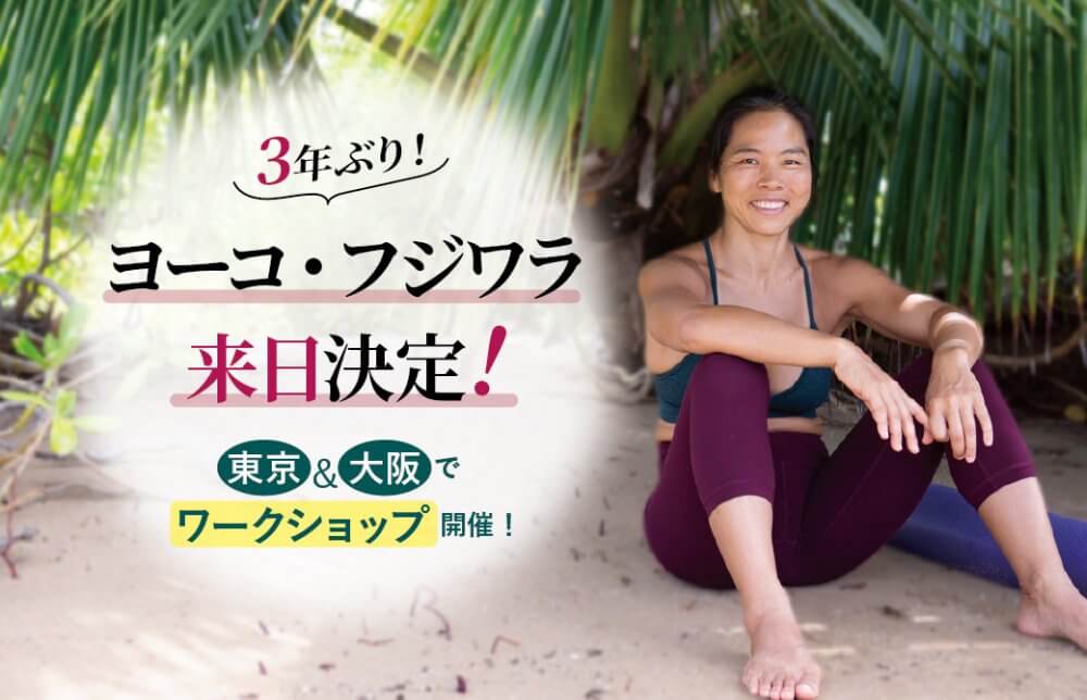 ヨーコ・フジワラ来日決定！