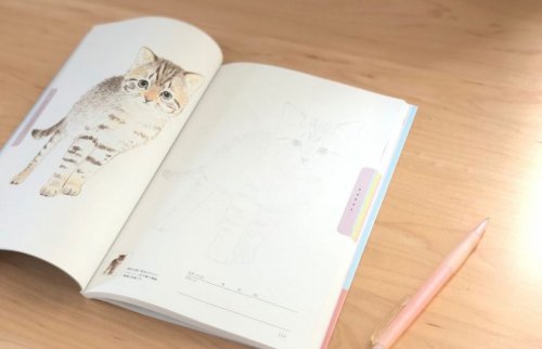 カラーのなぞり絵 nazorie-2-1024x660 (1)