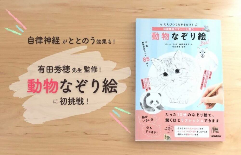 なぞり絵の表紙 nazorie-top-1024x660 (1)