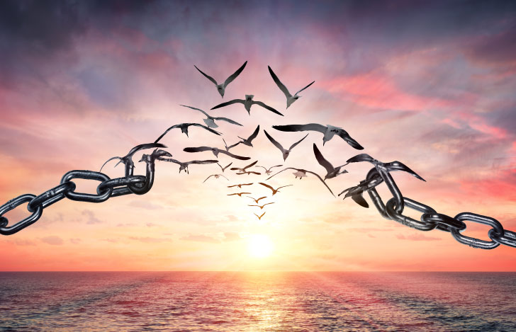千切れた鎖の間から海に向かって飛び立つ複数の鳥