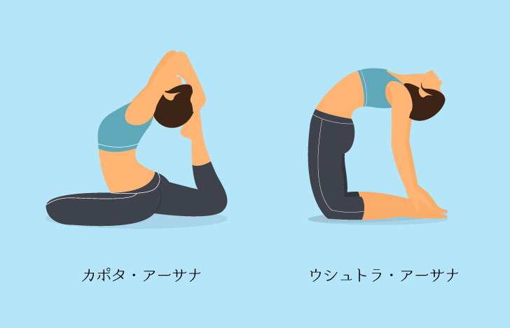 カポタ・アーサナ(ハタのポーズ)とウシュトラ・アーサナ(ラクダのポーズ)のイラスト