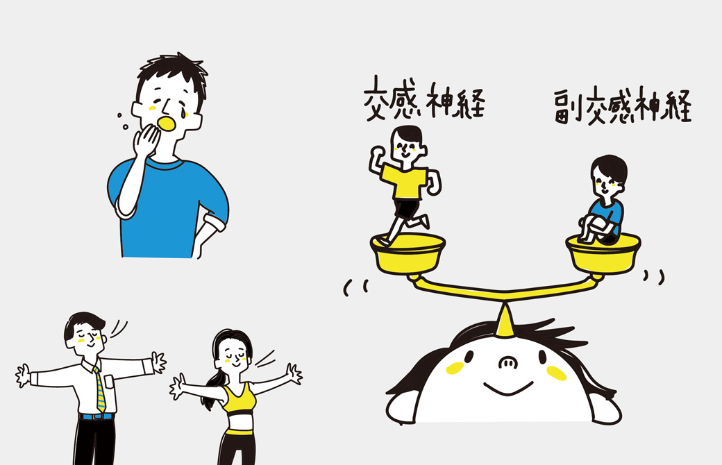 自律神経の作り方