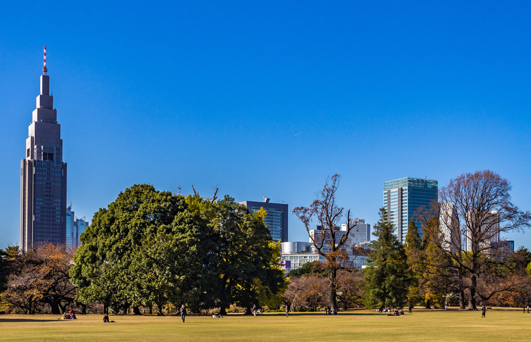 新宿のビル群を望む、新宿御苑