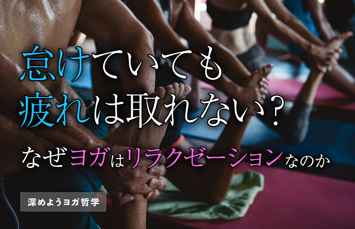 ヨガのクラスで前腿を伸ばすポーズをとる人々の後ろ姿