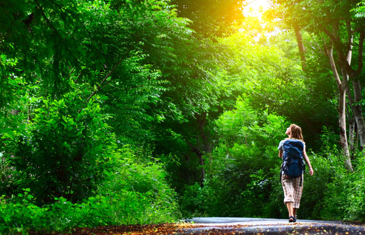 緑豊かな木々の間を歩く女性