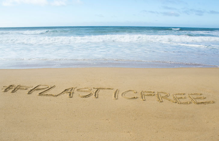 海岸にプラスチックフリーの文字