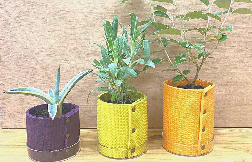 ヨガマットの植木鉢3種
