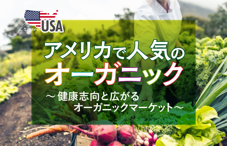 畑で野菜を収穫する女性の手元