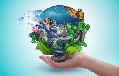 手のひらに載った動物や植物が描かれた地球