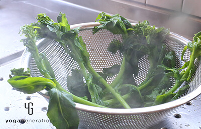 菜の花茹で上がり