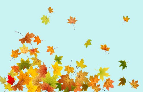 風で舞い上がる落ち葉のイラスト