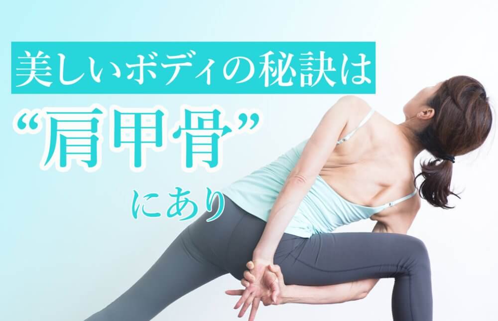 美しいボディの秘訣は肩甲骨にあり