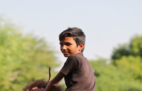 木々の中でこちらを見る褐色の肌の少年