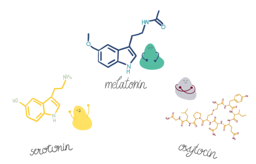 セロトニン・メラトニン・オキシトシンの構造図とイラスト