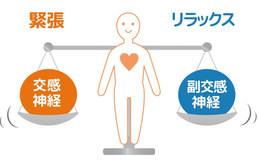 自律神経の働き