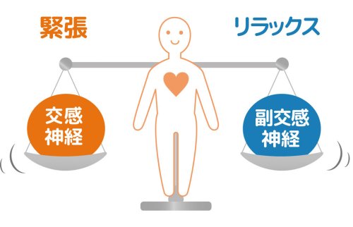 自律神経の働き