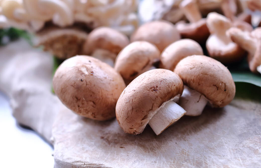 マッシュルーム