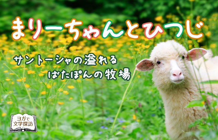 草原で何かを眺めている一匹のひつじ