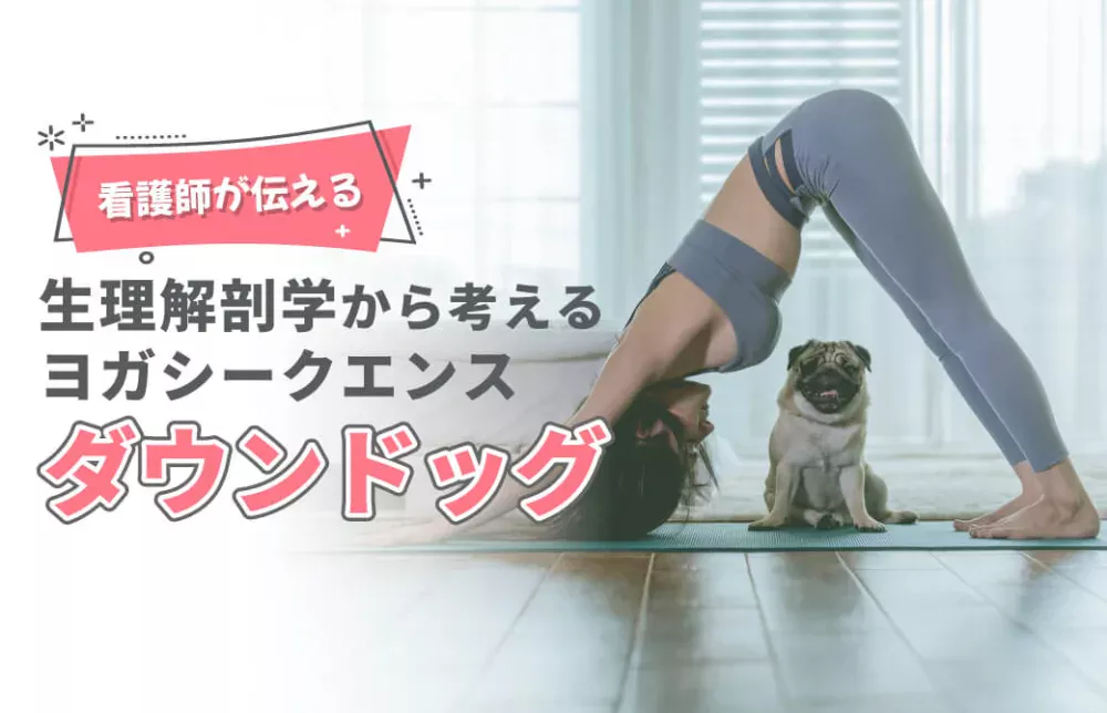 看護師が伝える！生理解剖学から考えるヨガシークエンス：ダウンドッグ
