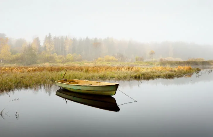 プラクリティ(物質世界)が動くのはプルシャ(真我)のため