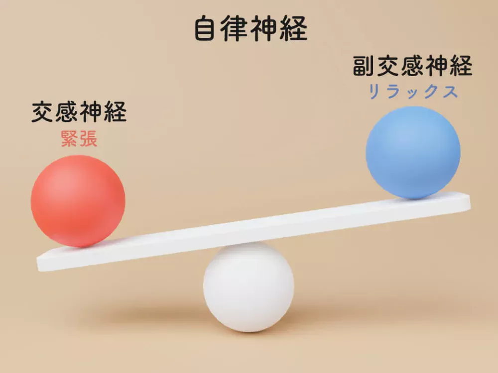 自律神経のバランス