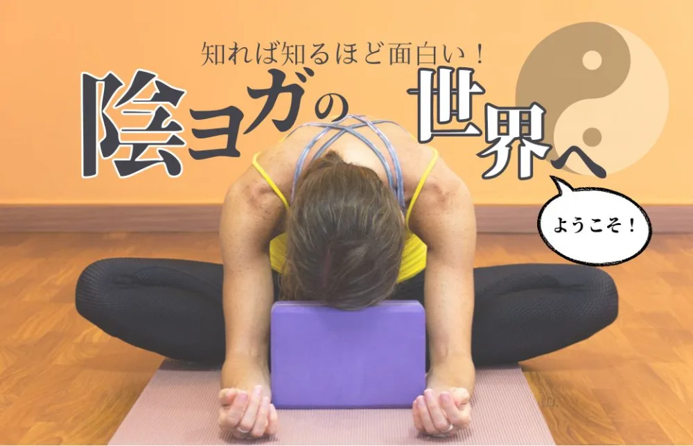 陰ヨガブログ20240519