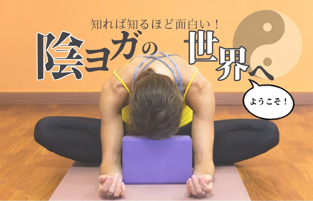 Yinblog_20240519-1-jpg.webp
