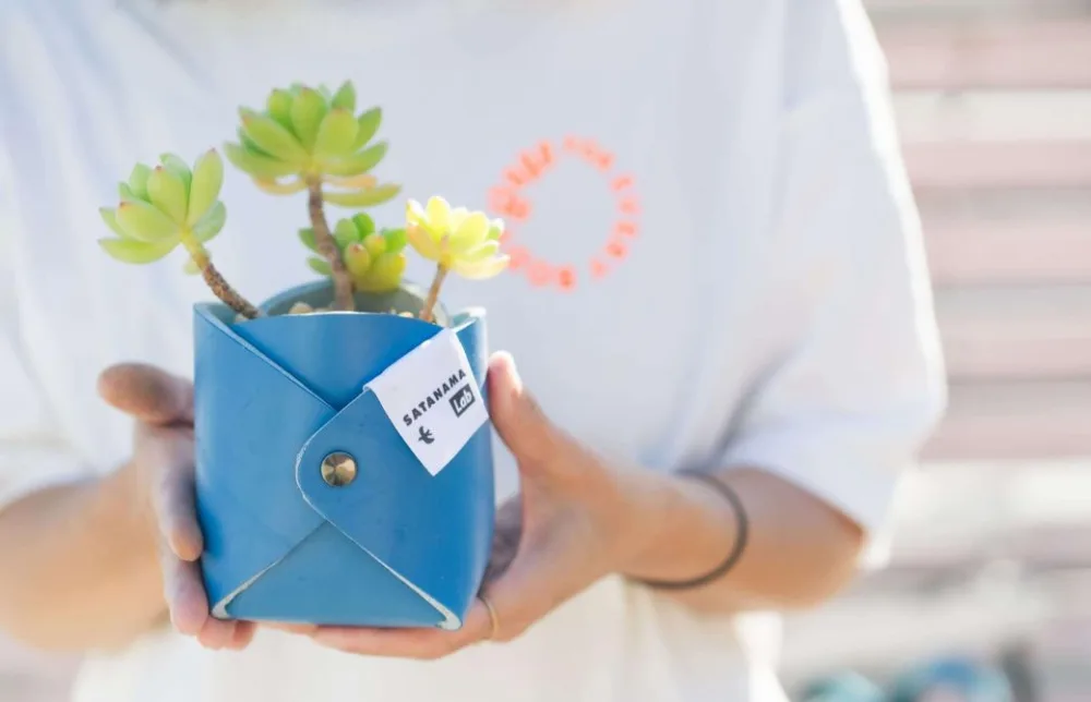 SATANAMA LAB_maltipot