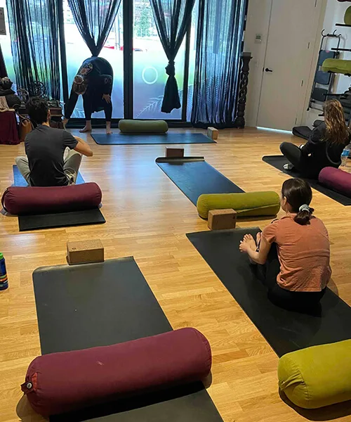 ニュージーランドでのヨガクラスの風景