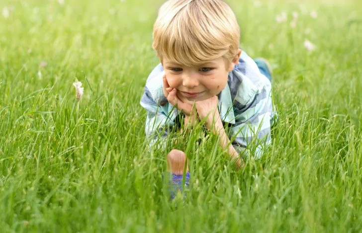 芝生の中の小さな女の子を見つめる小さな男の子