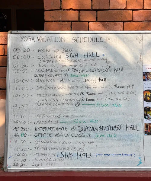 1日のスケジュール